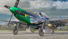Набор "Р-51D-10 Рэя Уэтмора"